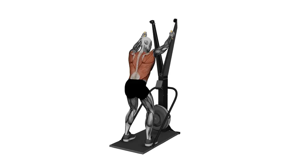 Ski Erg Straight Arm Pulldown