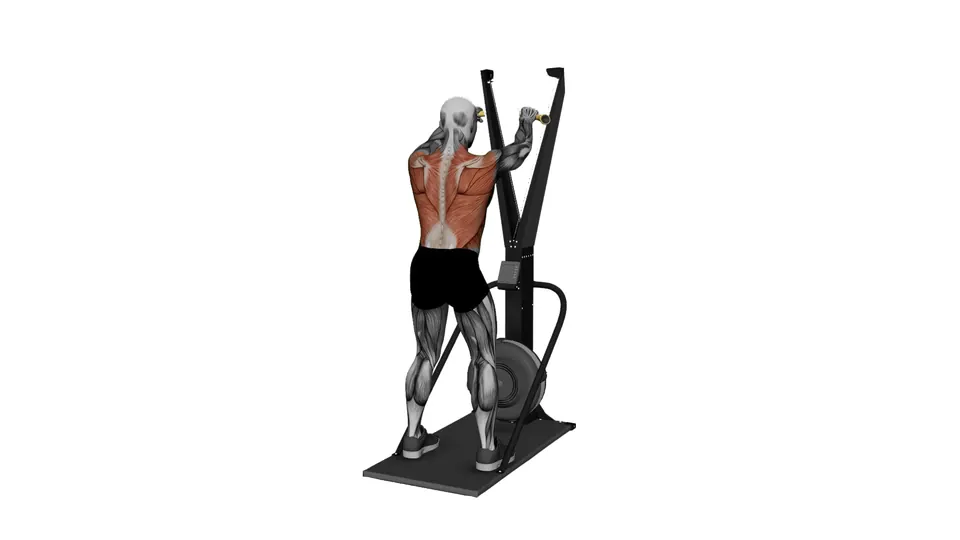 Ski Erg Reverse Fly