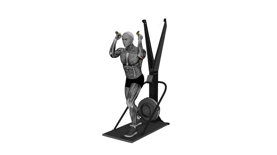 Ski Erg Triceps Extension