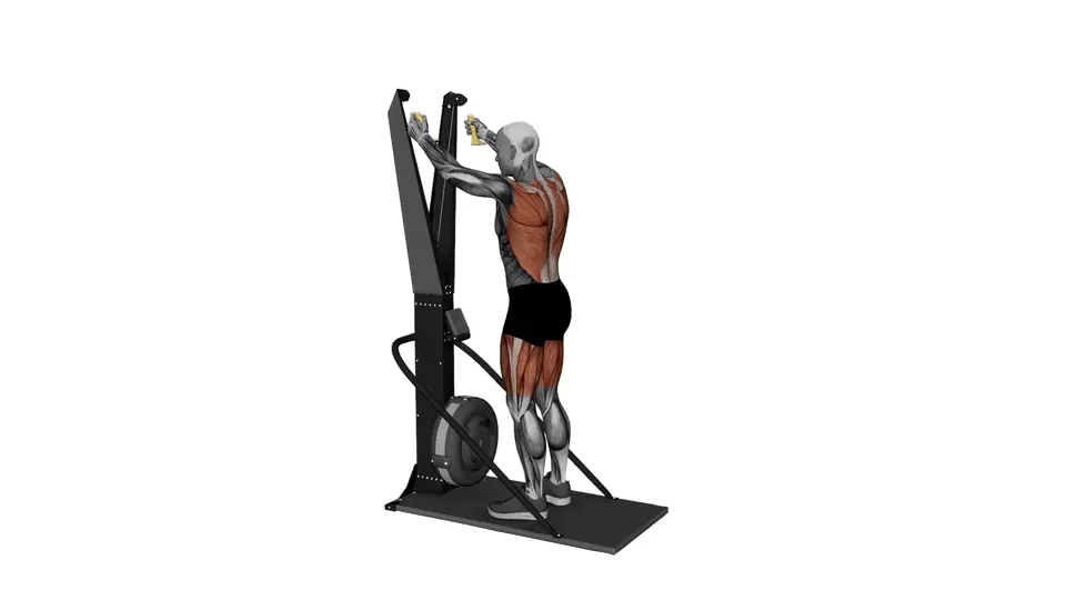 Ski Erg Squat Pull