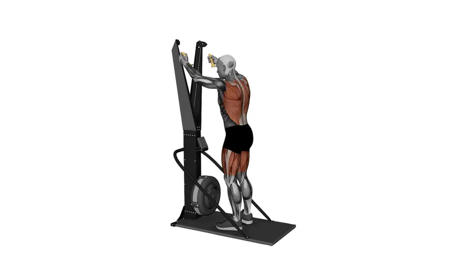 Ski Erg Squat Straight Arm Pull
