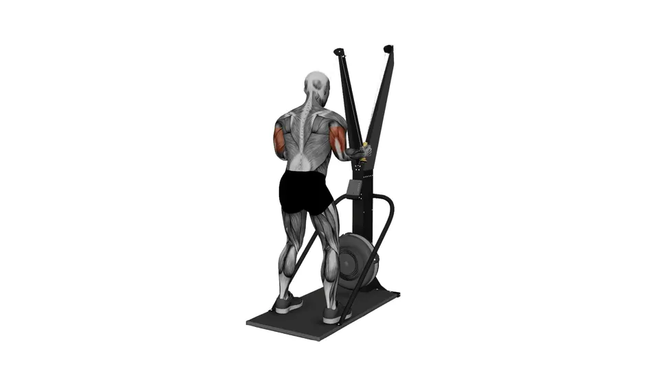 Ski Erg Triceps Pushdown