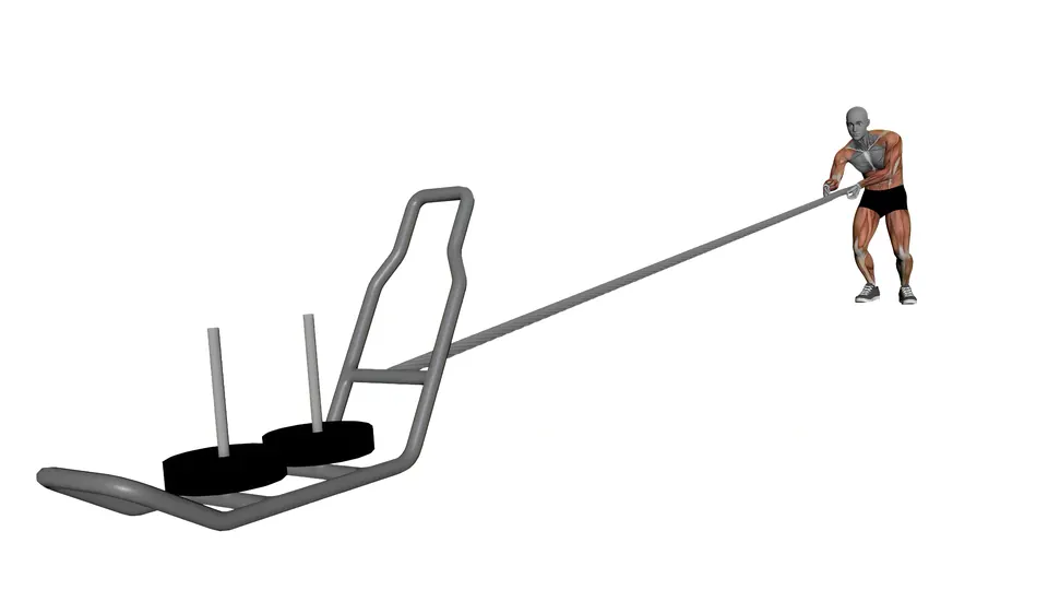 Sled Rope Pull