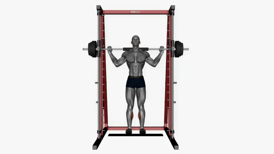 Smith Machine Calf Raise
