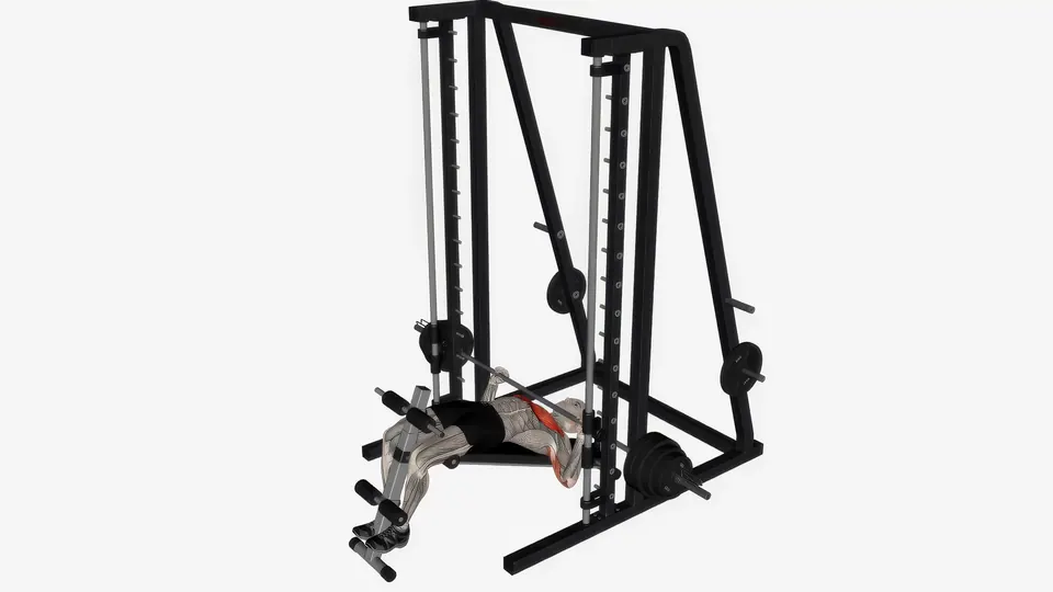 Smith Machine Decline Press