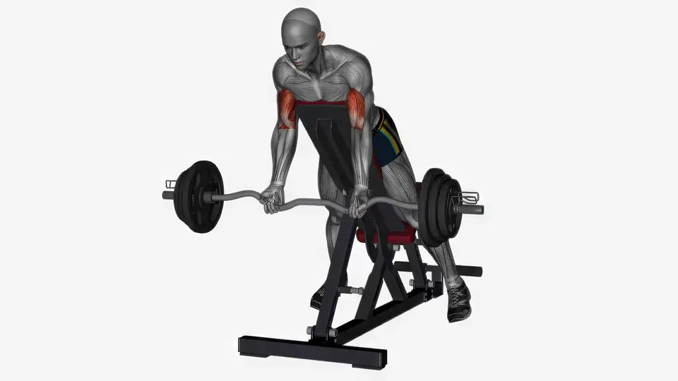 EZ Bar Spider Curl