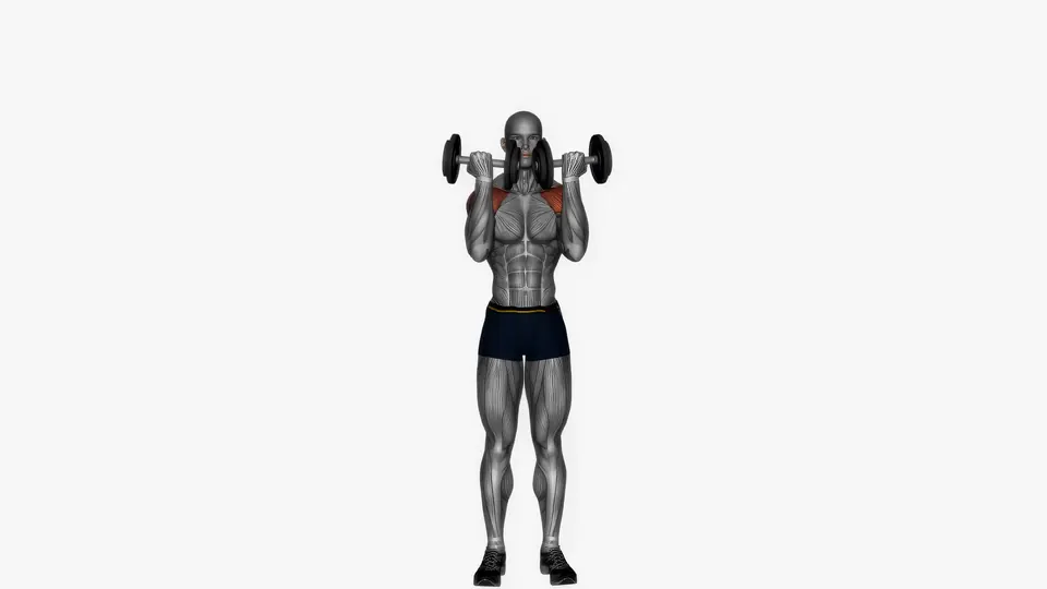 Standing Arnold Press