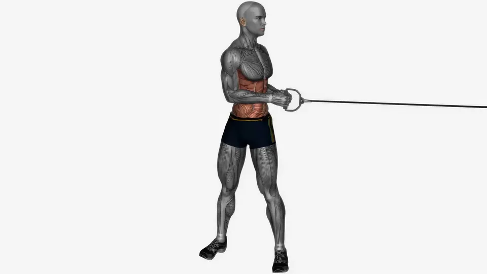 Cable Oblique Twist