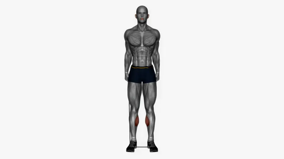 Resistance Band Calf Raise