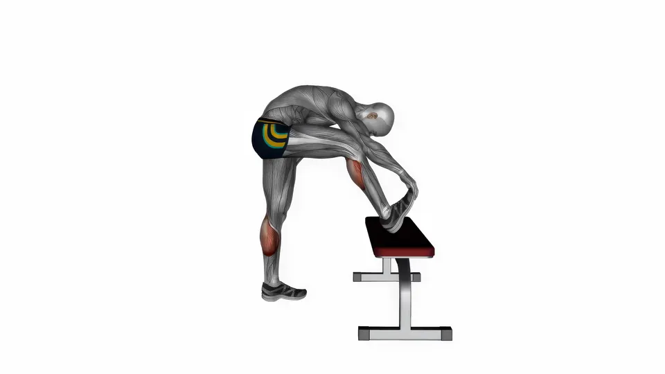 Bench Calf Stretch