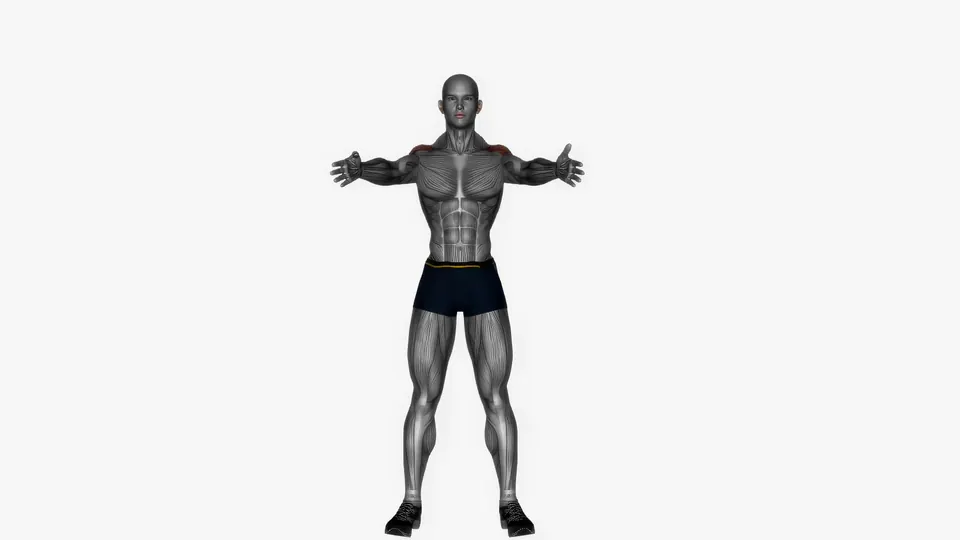 Standing Y-Raise