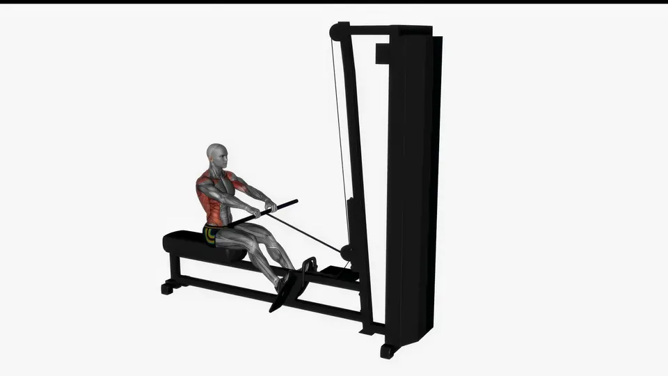 Seated Cable Row (Close Overhand Grip)