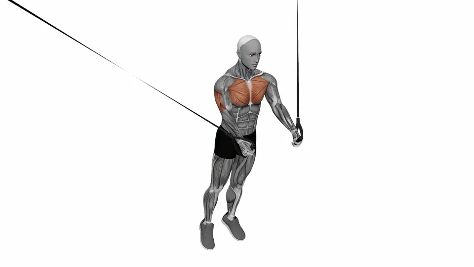 Suspension Trainer Chest Fly