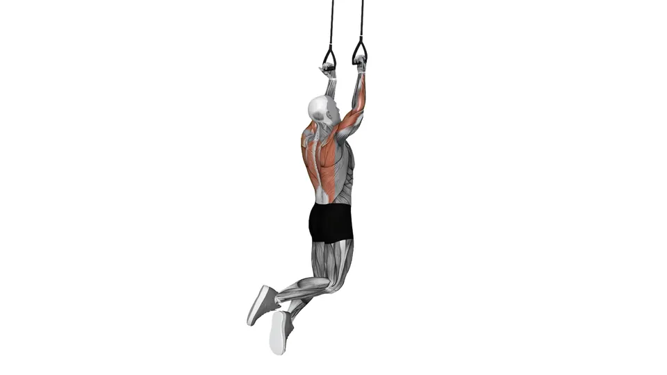 Suspension Trainer Chin-Up
