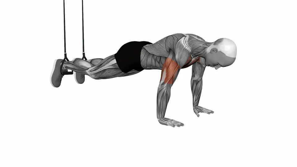 Suspension Trainer Decline Push-Up