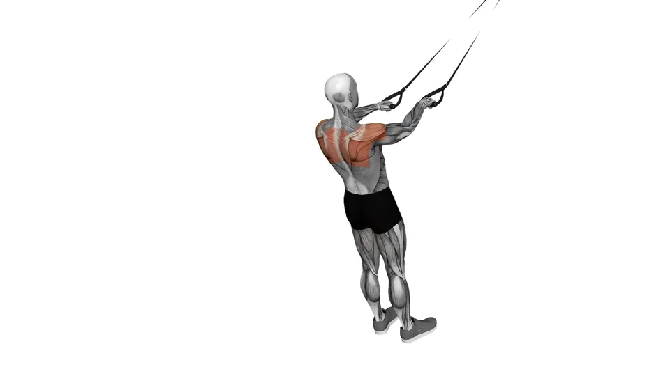 Suspension Trainer Face Pull