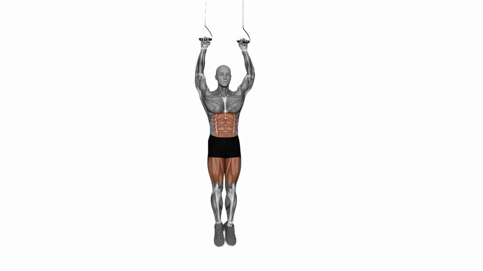 Suspension Trainer Hanging Knee Raise