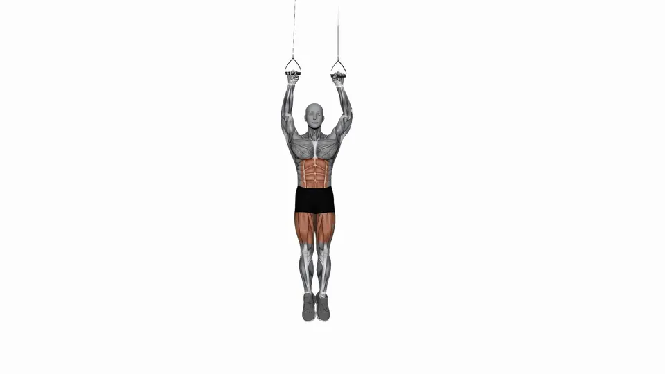 Suspension Trainer Hanging Leg Raise