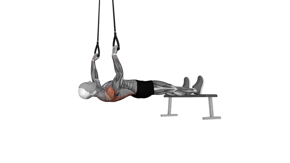 Feet Elevated Suspension Trainer Row