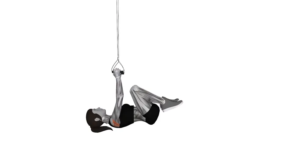 Suspension Trainer Knee Tuck Row