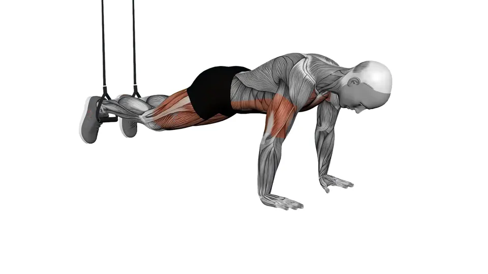 Suspension Trainer Mountain Climbers