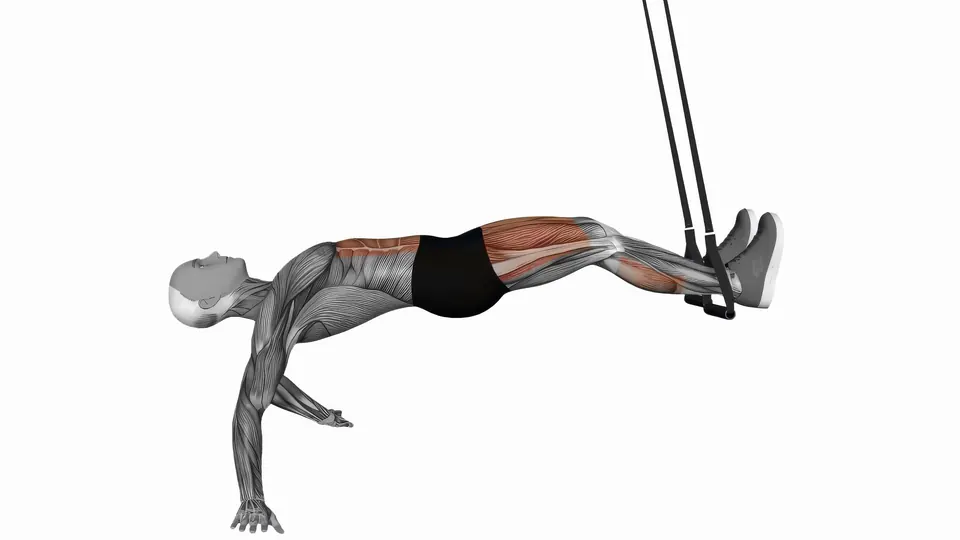 Suspension Trainer Reverse Plank Hip Raise