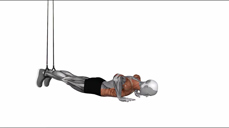 Suspension Trainer Push-Up with Rotation