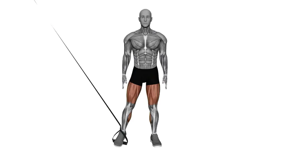 Suspension Trainer Side Squat