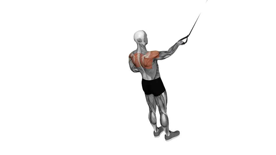 Single Arm Suspension Trainer Rear Delt Row