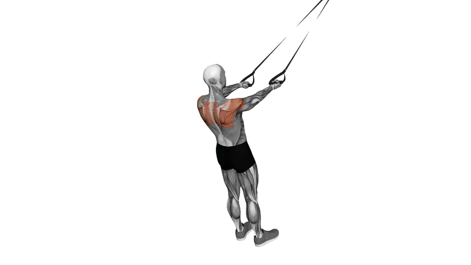 Suspension Trainer Split Fly