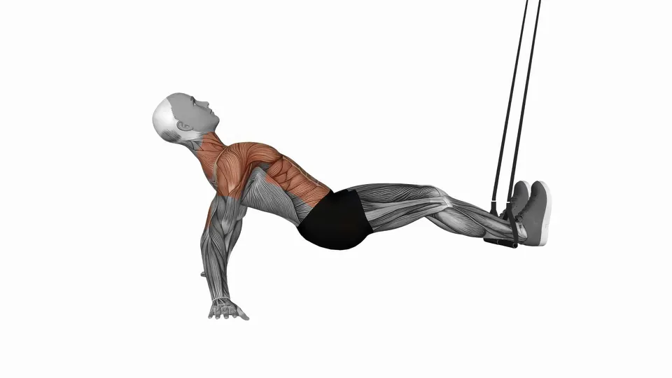 Supine Suspension Trainer Knee Tuck
