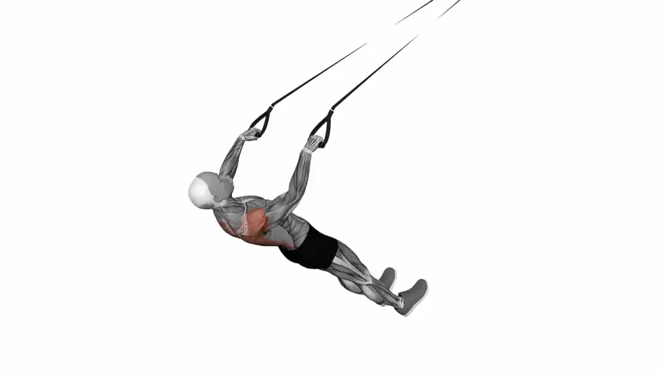 Wide Grip Suspension Trainer Row