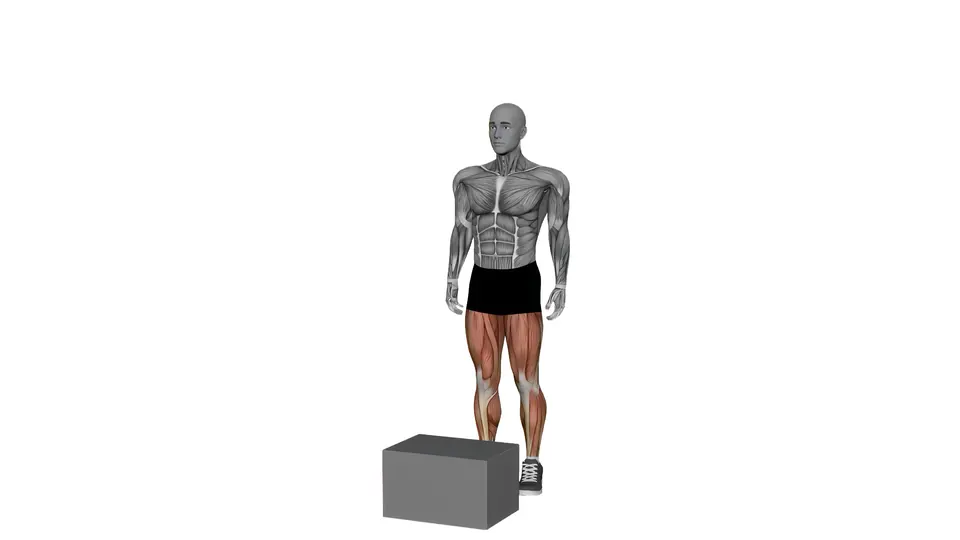 Single to Double Leg Box Jump