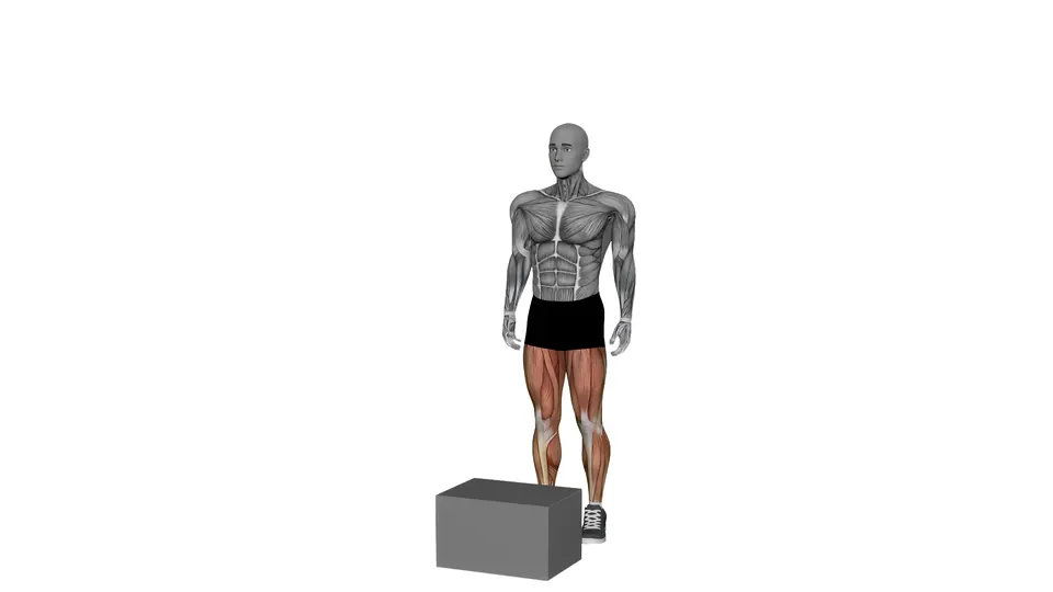 Single Leg Box Jump