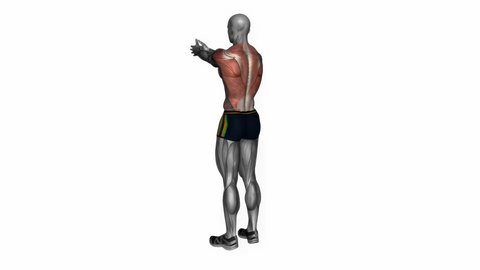 Upper Back Stretch