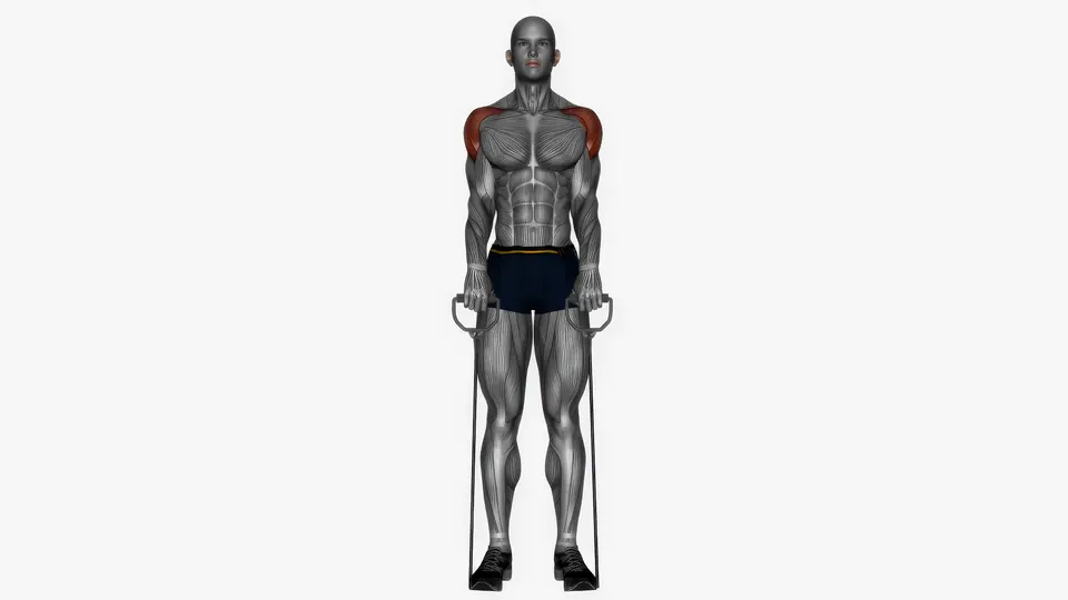 Resistance Band Upright Row