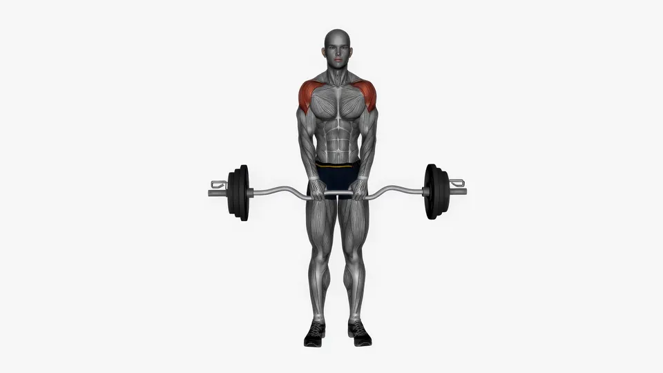 EZ Bar Upright Row