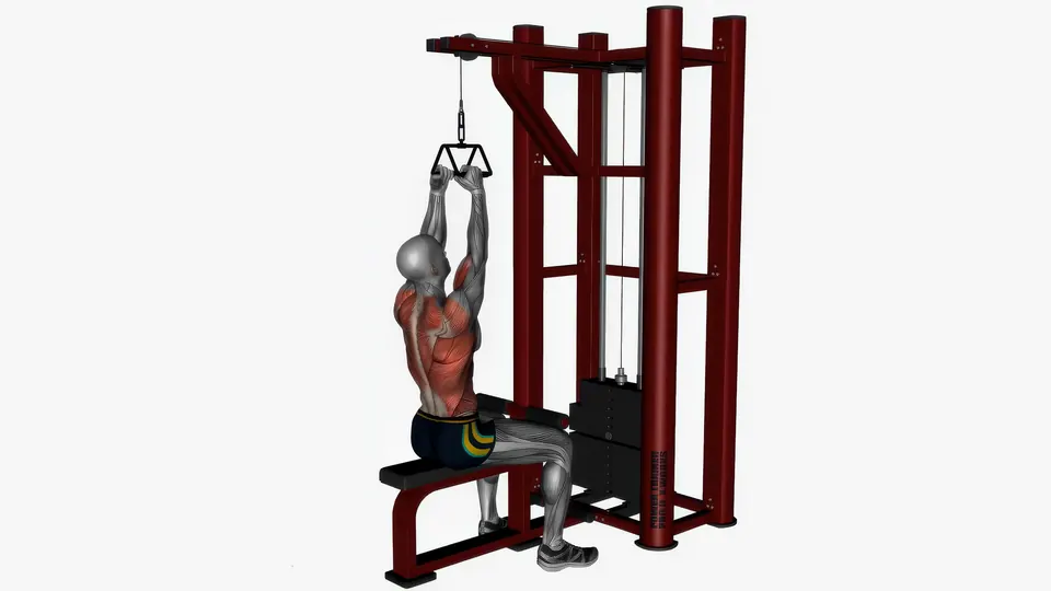 Lat Pulldown (Close Grip)